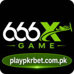 666X Game