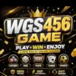 WGS456 GAME