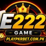 E222 Game