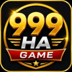 999HA Game